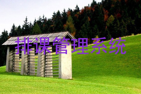 排课管理系统