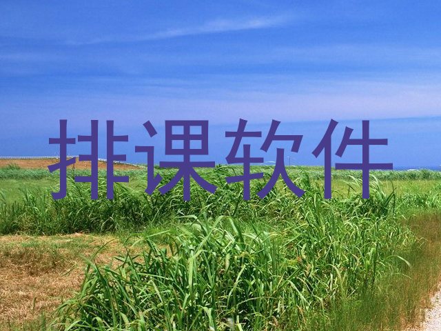 排课软件
