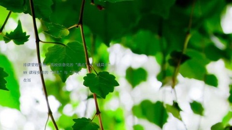 排课管理系统:高校信息化的“痛点”与“破局点”
## 课程安排的“混乱”与“冲突”
在当