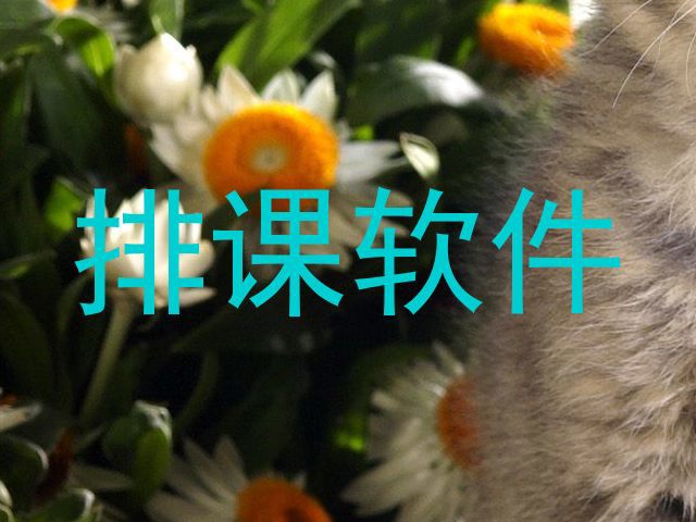 排课软件