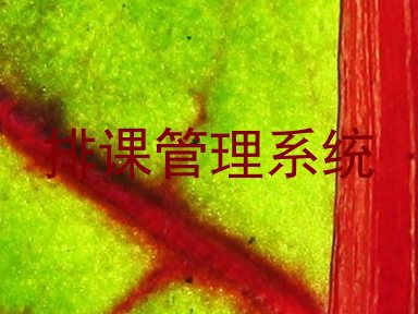 排课管理系统