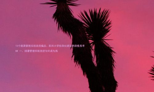 10个排课管理系统选型痛点:医科大学信息化建设的深度思考
## 一、排课管理系统选型为何成为高