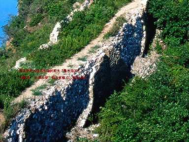 排课管理系统选型如何避免“数据盲区”？  

关键词： 排课系统，信息化痛点，数据驱动，