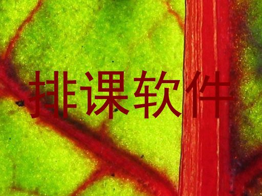 排课软件