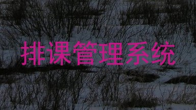 排课管理系统