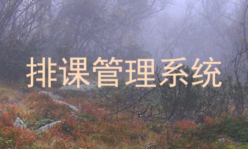 排课管理系统