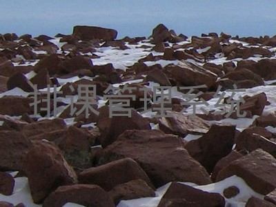 排课管理系统