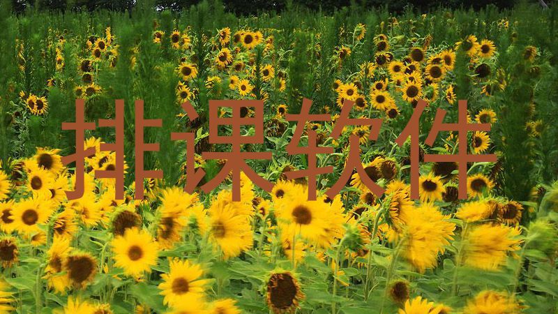 排课软件