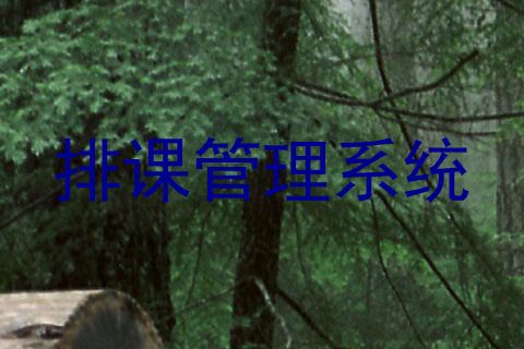 排课管理系统