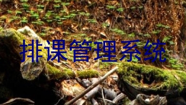 排课管理系统