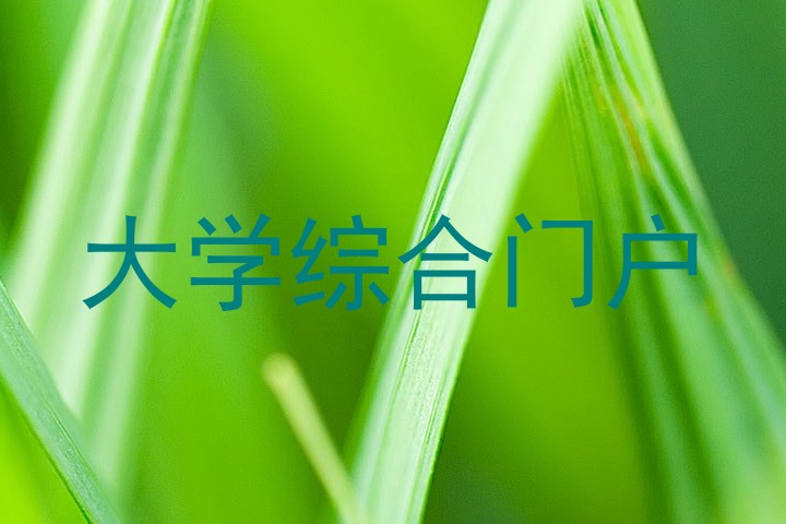 大学综合门户