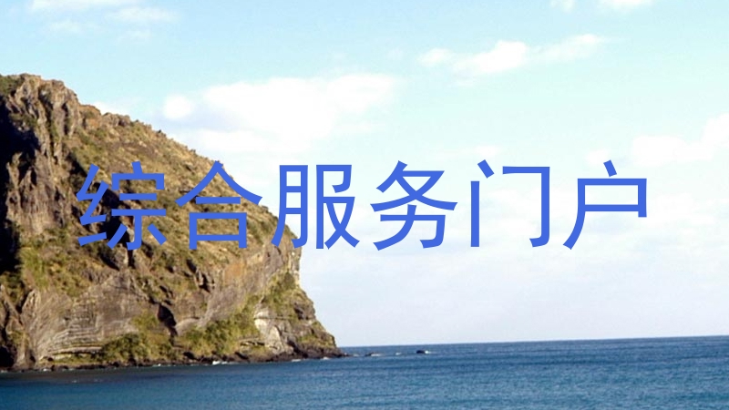 综合服务门户
