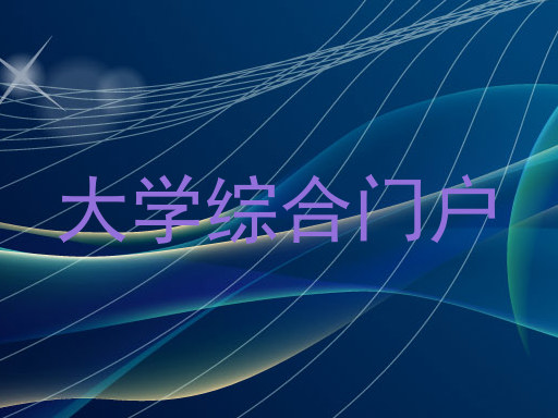 大学综合门户