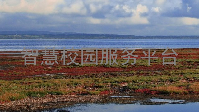 智慧校园服务平台