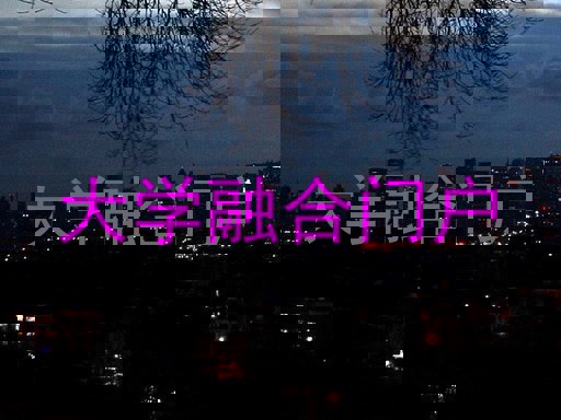 大学融合门户
