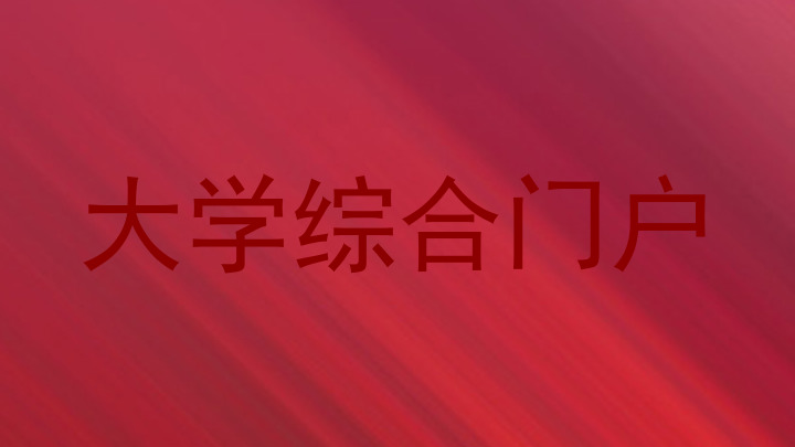 大学综合门户