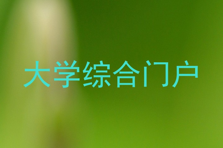 大学综合门户