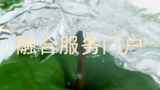 融合服务门户