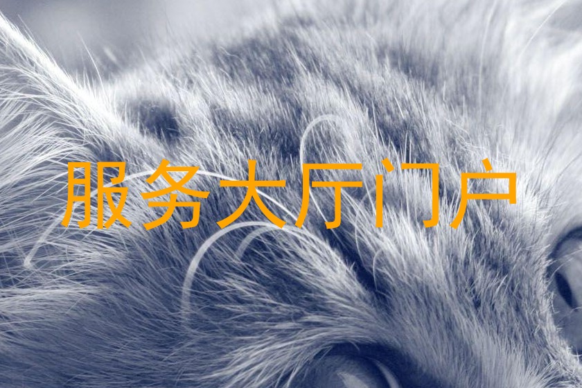 服务大厅门户