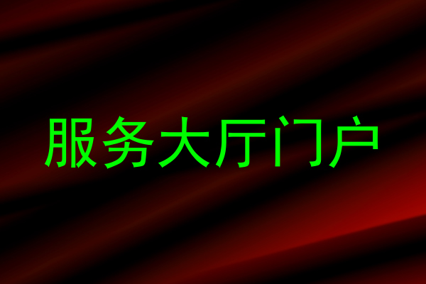 服务大厅门户