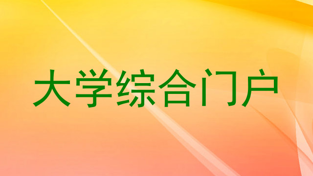 大学综合门户