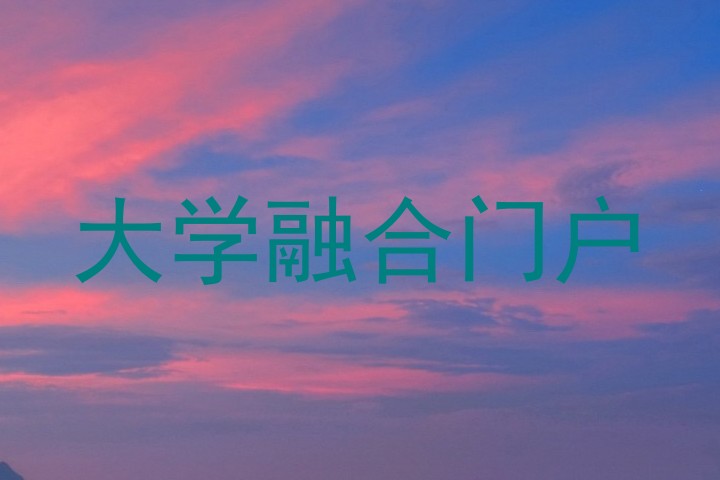 大学融合门户