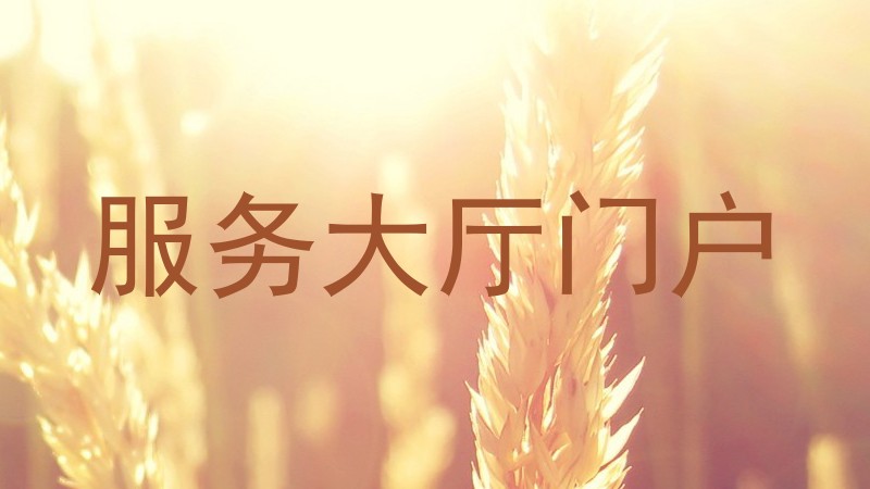 服务大厅门户