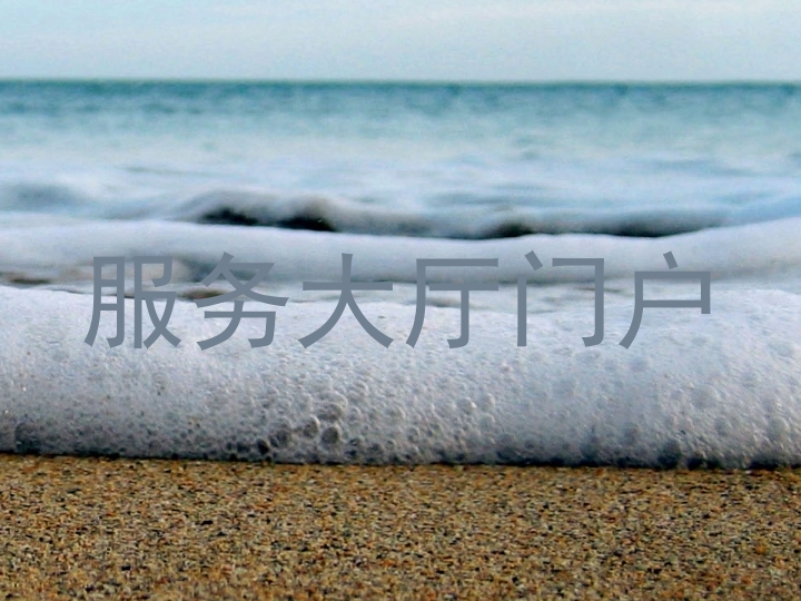 服务大厅门户
