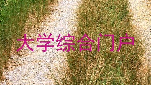大学综合门户
