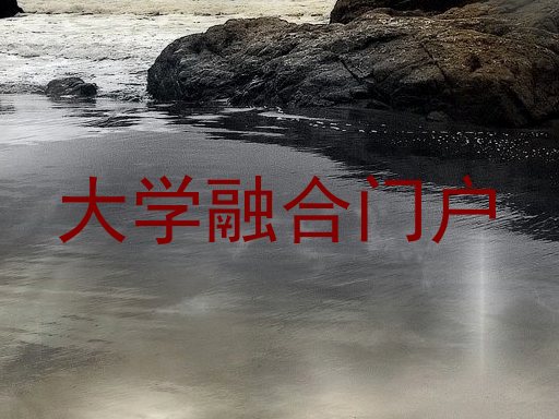 大学融合门户