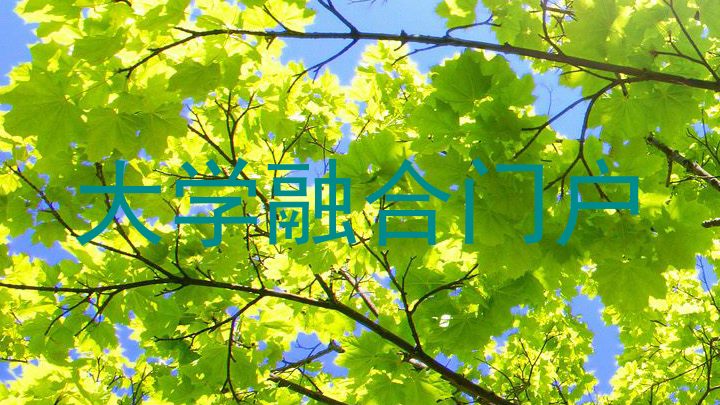 大学融合门户