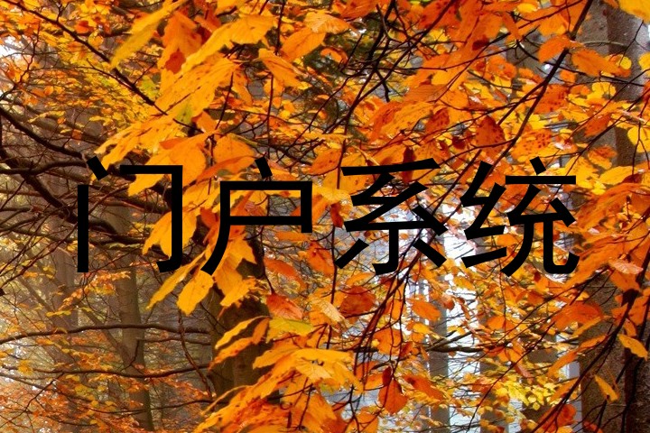 门户系统