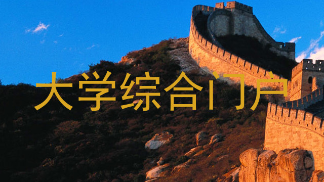 大学综合门户