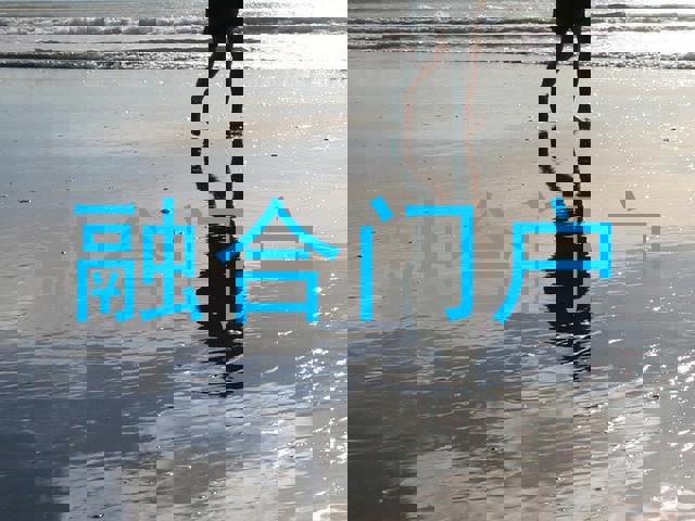 融合门户