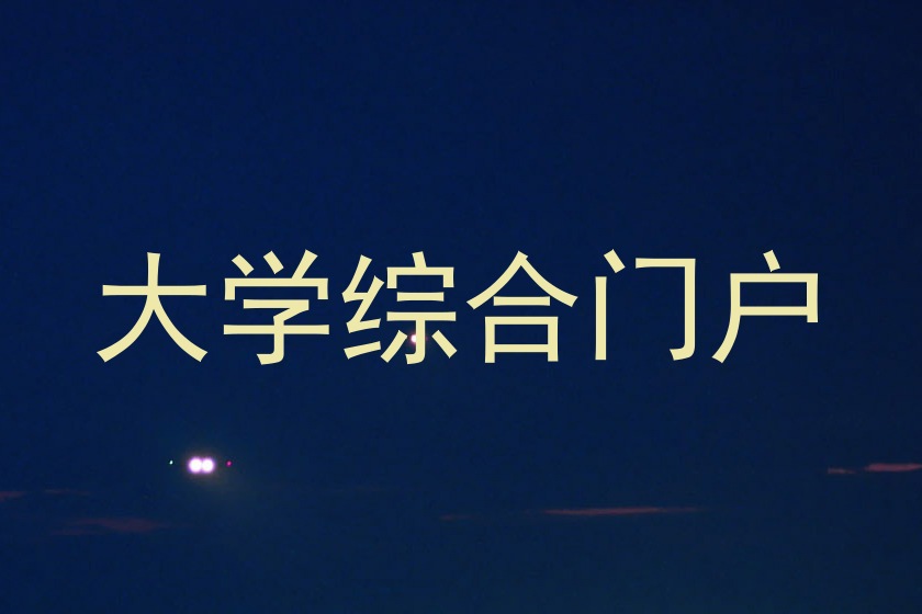 大学综合门户