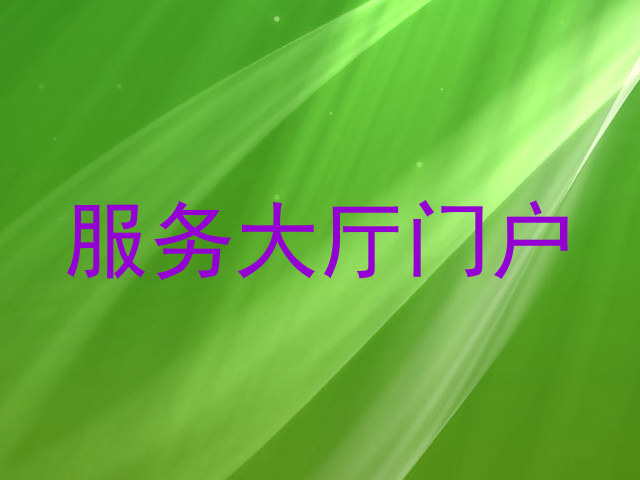 服务大厅门户