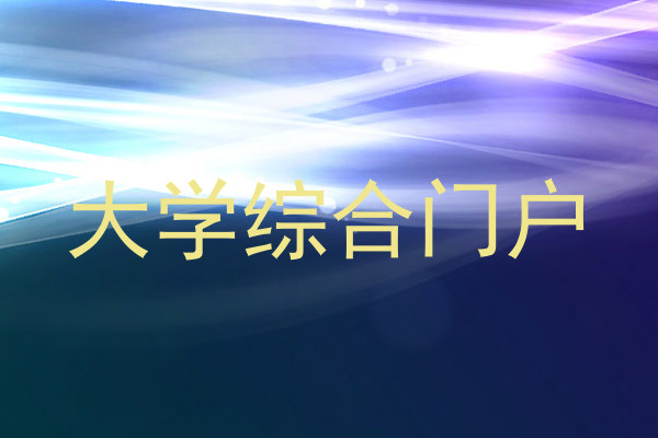 大学综合门户