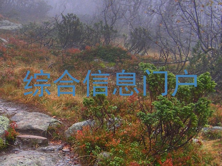 综合信息门户