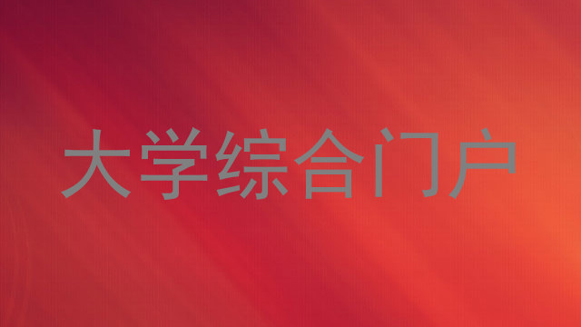 大学综合门户