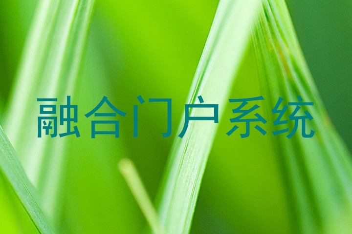 融合门户系统