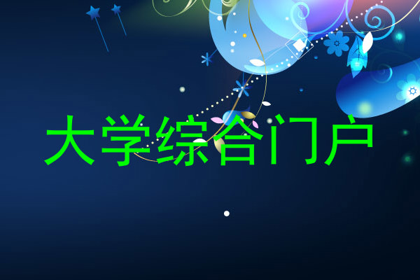大学综合门户