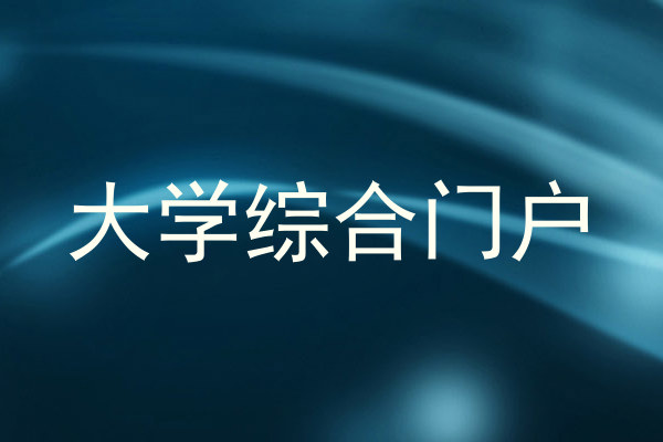 大学综合门户