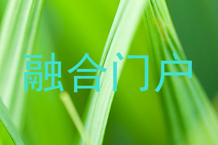 融合门户