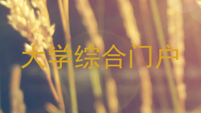 大学综合门户