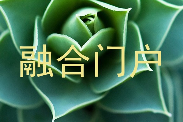 融合门户