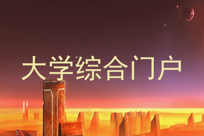 大学综合门户