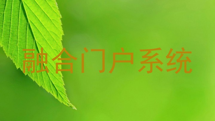 融合门户系统