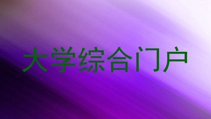 大学综合门户