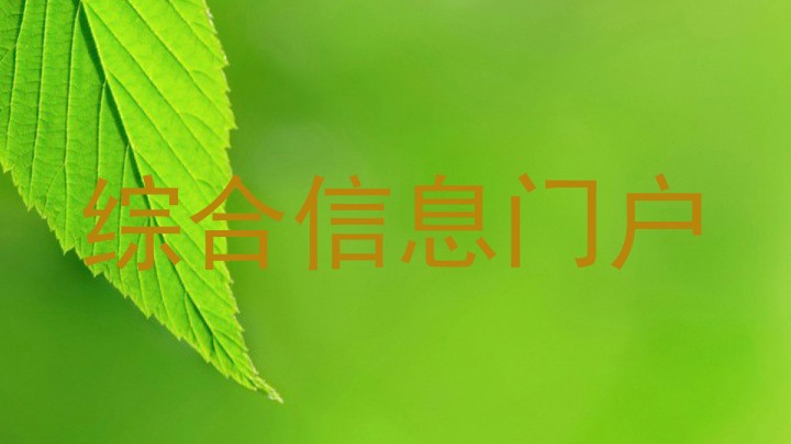 综合信息门户