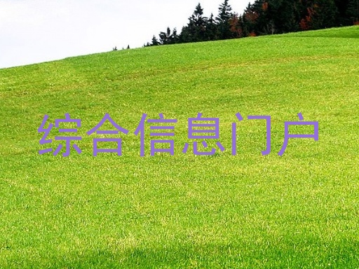 综合信息门户